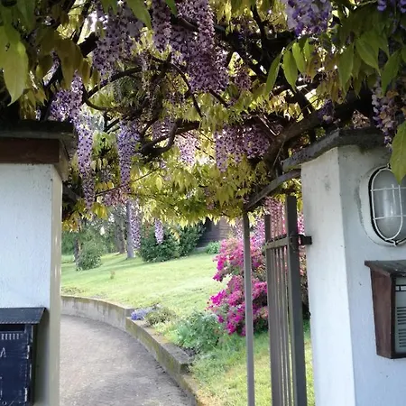 Country Corner Maggiore