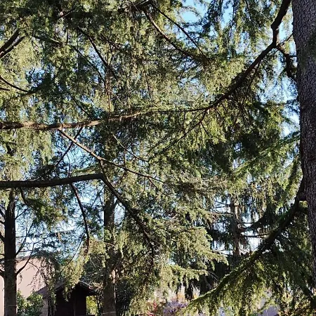 Country Corner Maggiore Feriehus Divignano