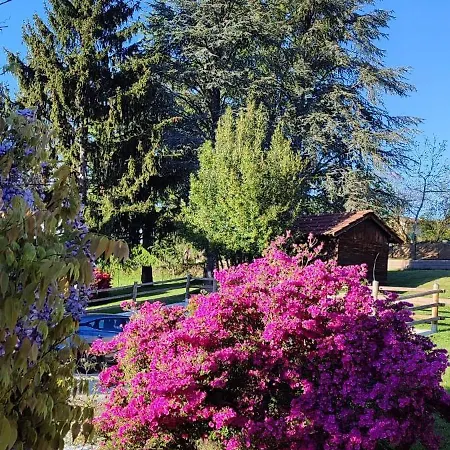 Country Corner Maggiore *