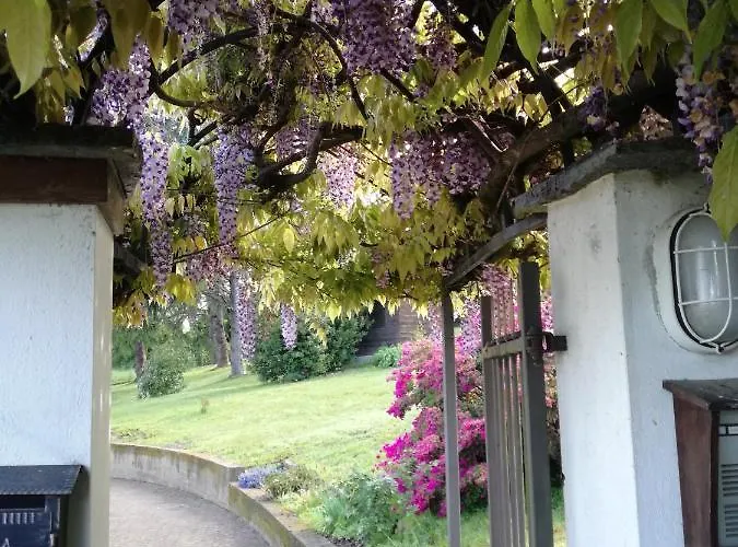 Country Corner Maggiore