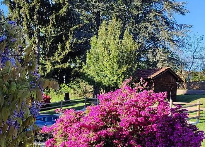 Country Corner Maggiore *